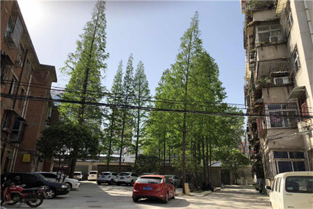 龙都现代城3室2厅1卫118㎡